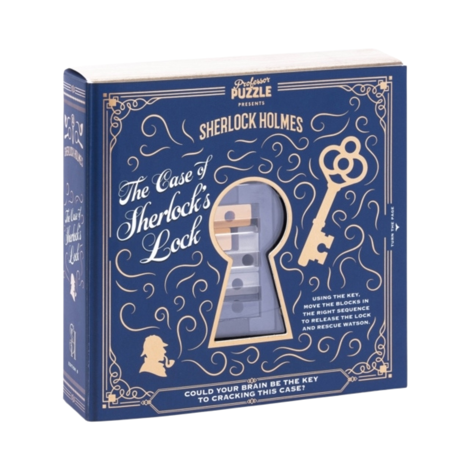 Professor Puzzle