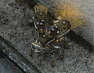 Detaljebillede af 3D Firefly metal puzzle